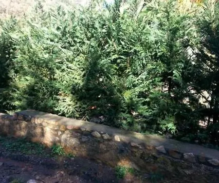 Apartamento Giacomo *